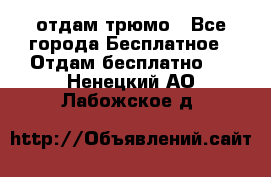 отдам трюмо - Все города Бесплатное » Отдам бесплатно   . Ненецкий АО,Лабожское д.